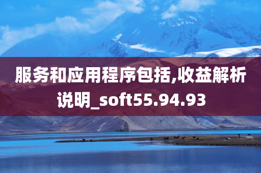 服务和应用程序包括,收益解析说明_soft55.94.93