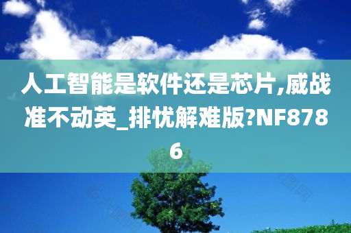 人工智能是软件还是芯片,威战准不动英_排忧解难版?NF8786