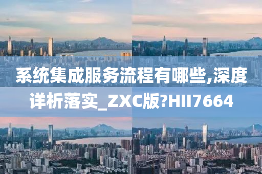 系统集成服务流程有哪些,深度详析落实_ZXC版?HII7664