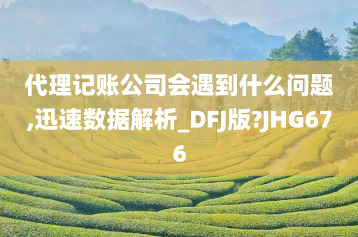 代理记账公司会遇到什么问题,迅速数据解析_DFJ版?JHG676