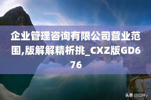 企业管理咨询有限公司营业范围,版解解精析挑_CXZ版GD676