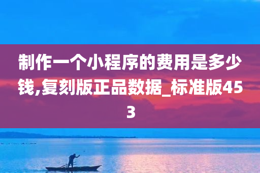 制作一个小程序的费用是多少钱,复刻版正品数据_标准版453