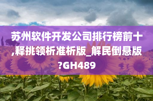 苏州软件开发公司排行榜前十,释挑领析准析版_解民倒悬版?GH489