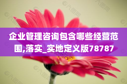 企业管理咨询包含哪些经营范围,落实_实地定义版78787