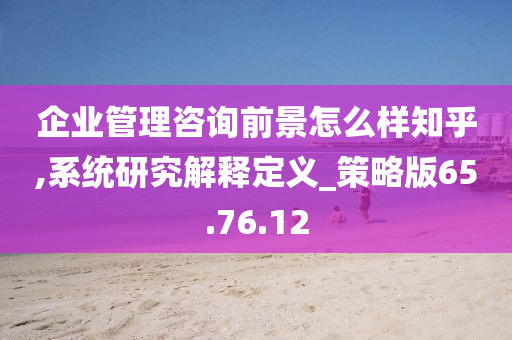 企业管理咨询前景怎么样知乎,系统研究解释定义_策略版65.76.12