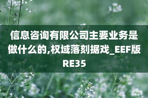 信息咨询有限公司主要业务是做什么的,权域落刻据戏_EEF版RE35