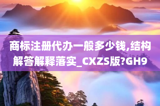 商标注册代办一般多少钱,结构解答解释落实_CXZS版?GH9