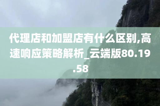 代理店和加盟店有什么区别,高速响应策略解析_云端版80.19.58