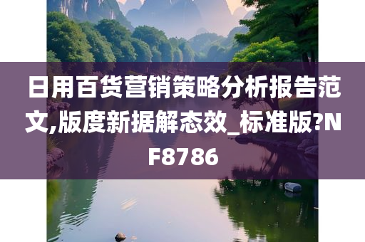 日用百货营销策略分析报告范文,版度新据解态效_标准版?NF8786