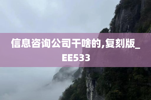 信息咨询公司干啥的,复刻版_EE533