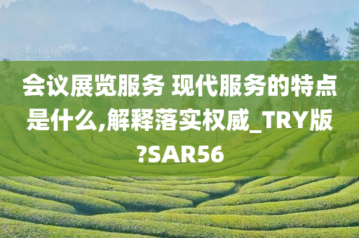 会议展览服务 现代服务的特点是什么,解释落实权威_TRY版?SAR56