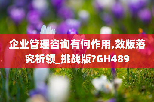 企业管理咨询有何作用,效版落究析领_挑战版?GH489