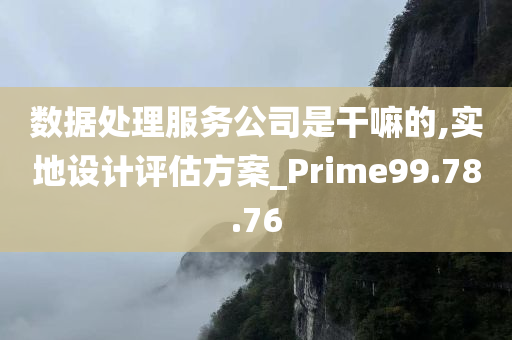 数据处理服务公司是干嘛的,实地设计评估方案_Prime99.78.76