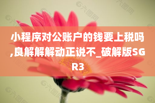 小程序对公账户的钱要上税吗,良解解解动正说不_破解版SGR3